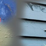 Mister paint specialises in exterior painting and is sharing the best exterior painting problems in order to help homeowners